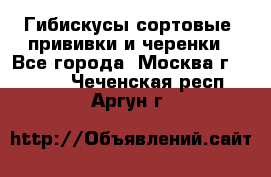 Гибискусы сортовые, прививки и черенки - Все города, Москва г.  »    . Чеченская респ.,Аргун г.